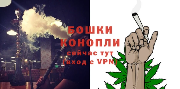 амф Гусь-Хрустальный