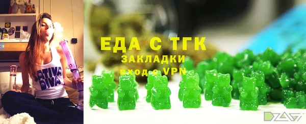 амф Гусь-Хрустальный