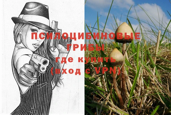 амф Гусь-Хрустальный