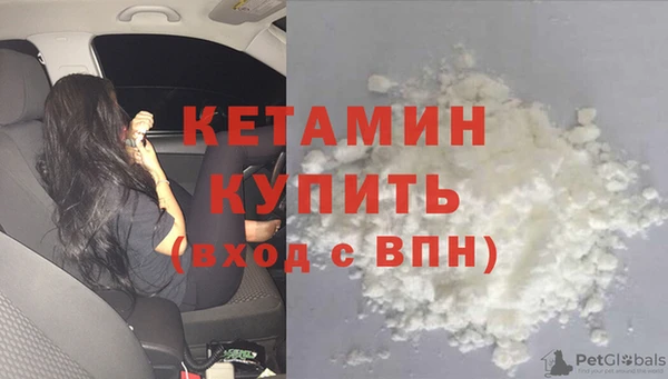 амф Гусь-Хрустальный