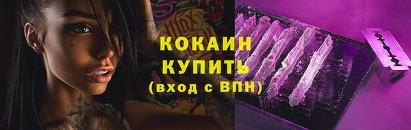 амф Гусь-Хрустальный