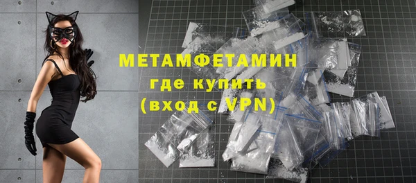 амф Гусь-Хрустальный