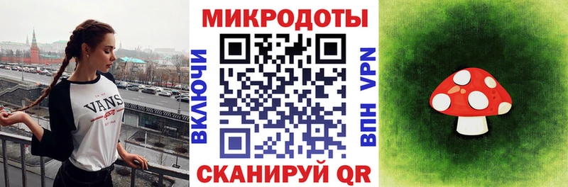 Купить  Петушки  Псилоцибиновые грибы Psilocybe 